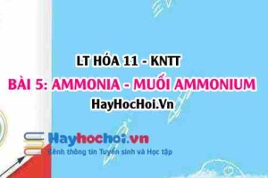 Tính chất hóa học của Ammonia NH3, muối Ammonium? Cấu tạo phân tử, tính chất vật lí Ammonia và ứng dụng? Hóa 11 bài 5 KNTT